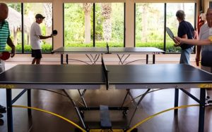 BF Ping Pong