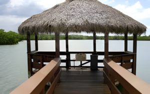 Bay Forest Boardwalk Tiki