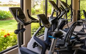 Bf Fitness 2